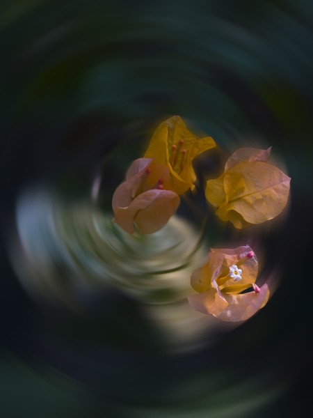 spin