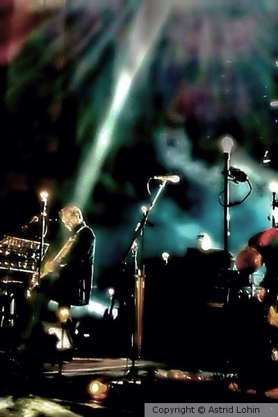 Angels •Georg•