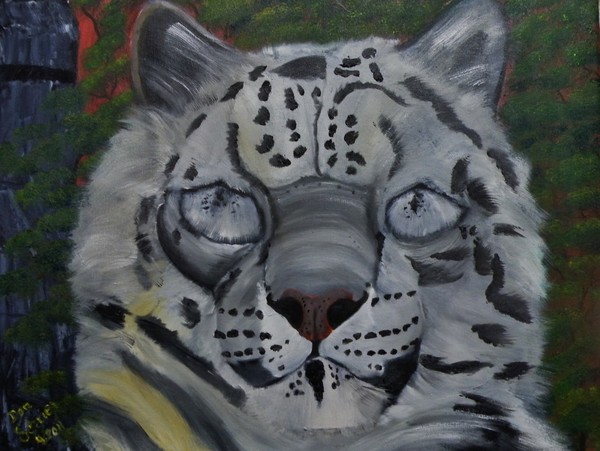 Did you ever see a Snow Leopard BLINK