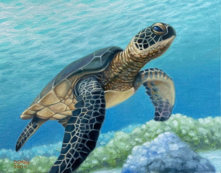 Turtle Tropics