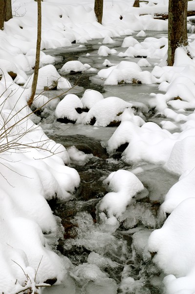 Mountain Stream