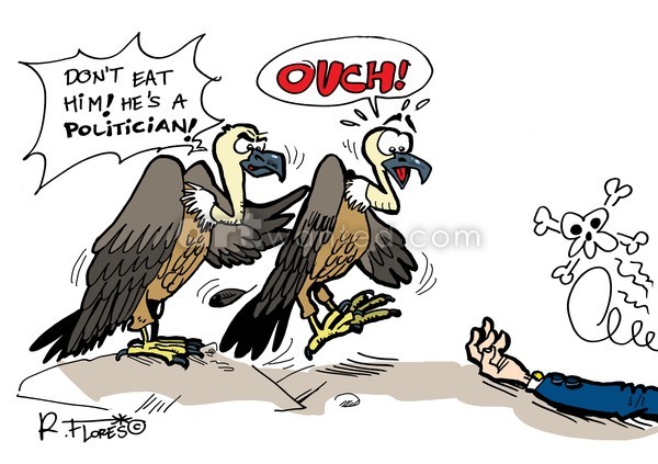 Politicians...non comments!