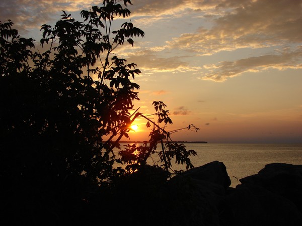 Sunrise in Silhouette