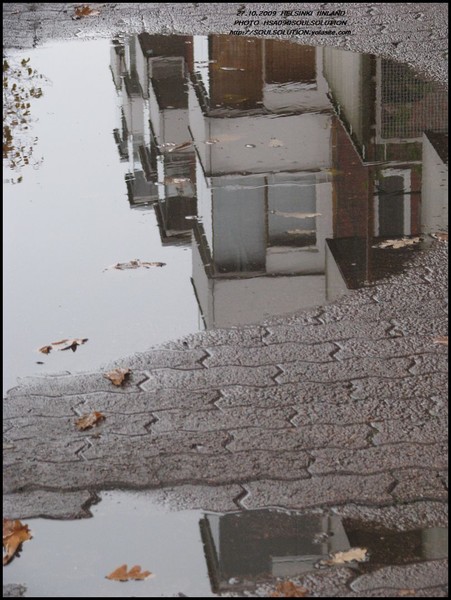 ..season reflections..