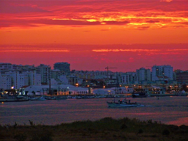 busy harbour