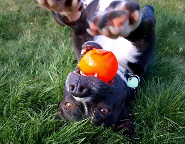 At Play