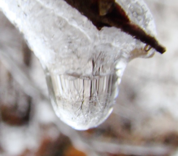 melting reflection