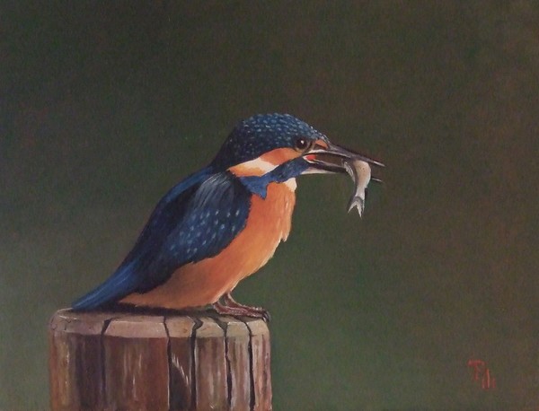 IJsvogeltje  met visje
