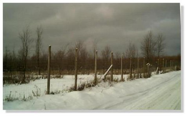 Snowy country road