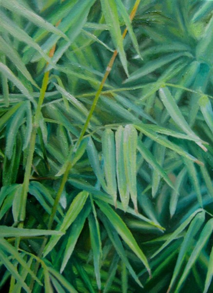 nepalese blue bamboo