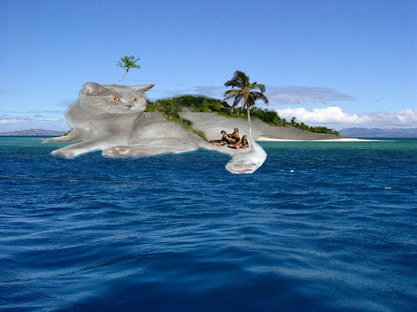 island in the ocean