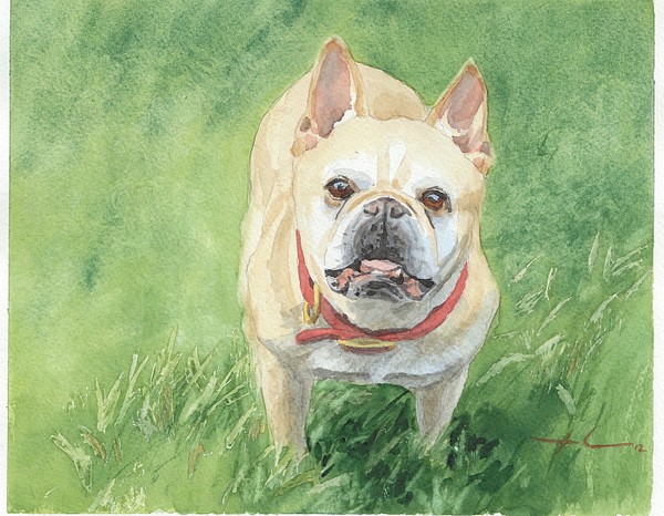 little tough dog watercolor painting theuer