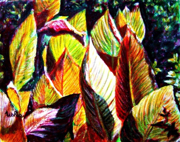 Sunit Foliage
