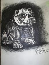 Go Dawgs!
