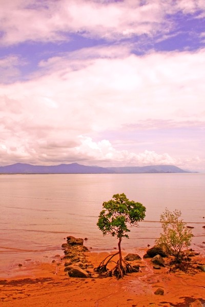 Solitude with a View