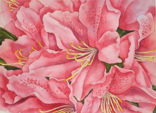 Spring Azalea