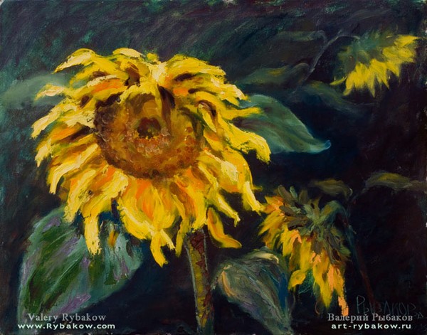 Oil Painting Sunflowers at the end of the summer