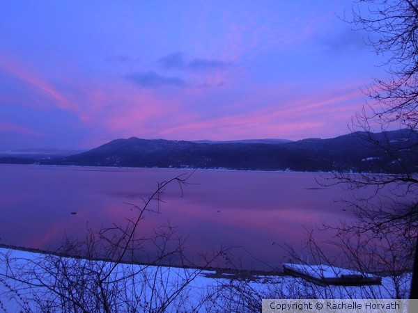 Winter Pink