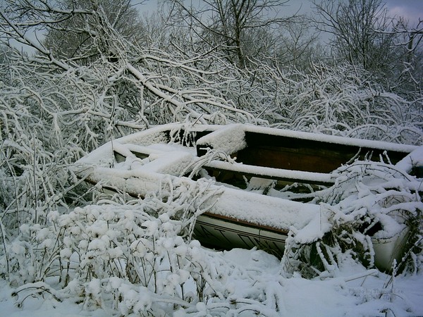 Waiting for Spring