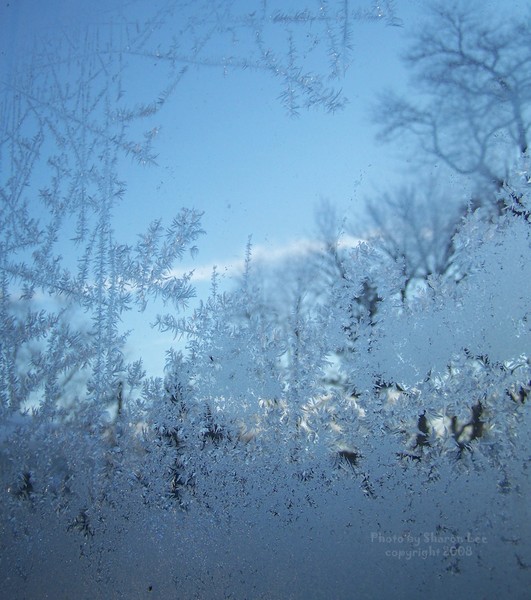 Blue Morning by Jack Frost