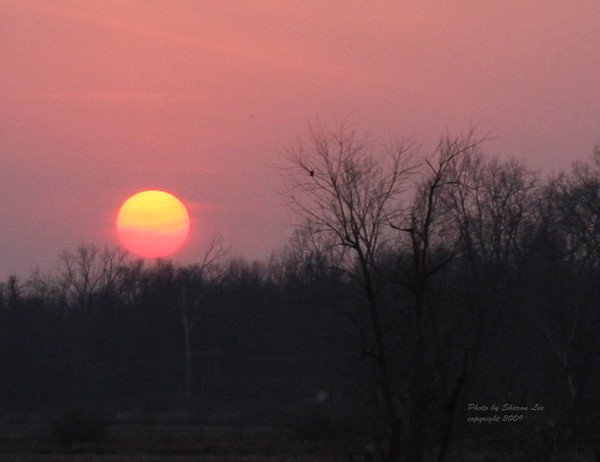 Wetlands Sunset 3