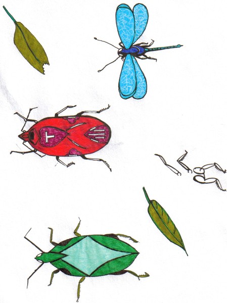 doodles