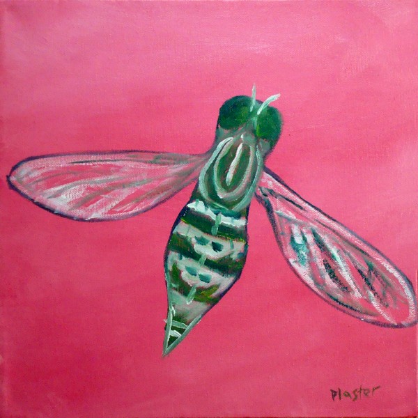 Fly North