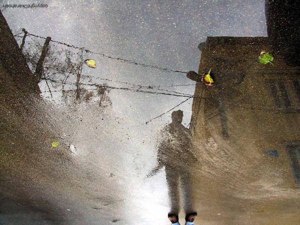 Reflection in the street
