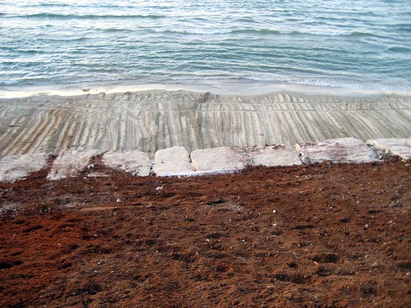 Jaffa beach