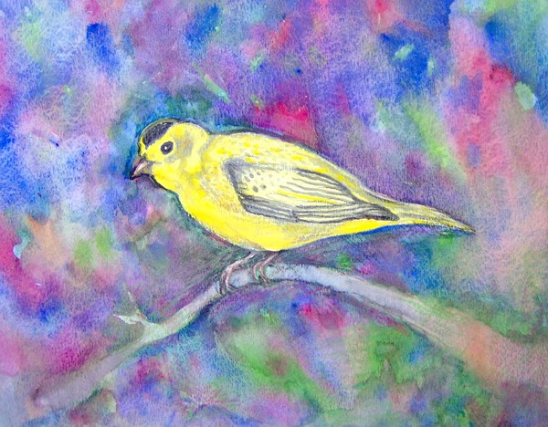 Yellow Bird