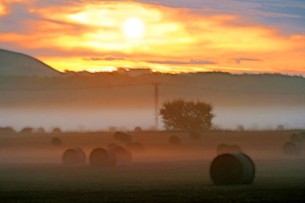 Haybales at sunrise
