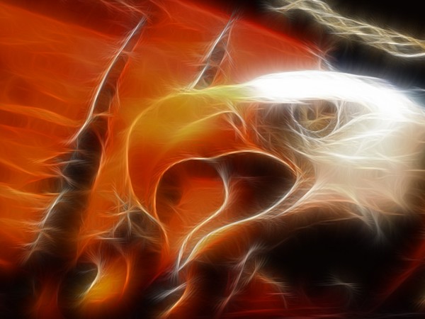 GOLDEN EAGLE