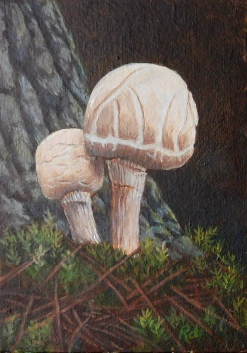 Two Mushrooms