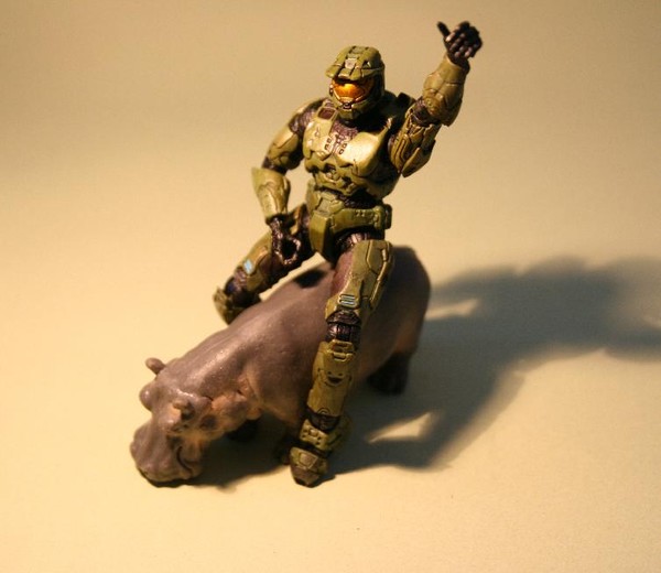 Master Chief's Hippo Rodeo