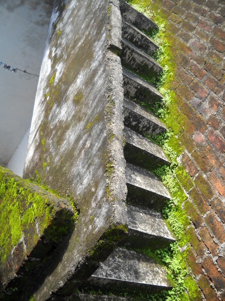 Vintage Stairs with greenery