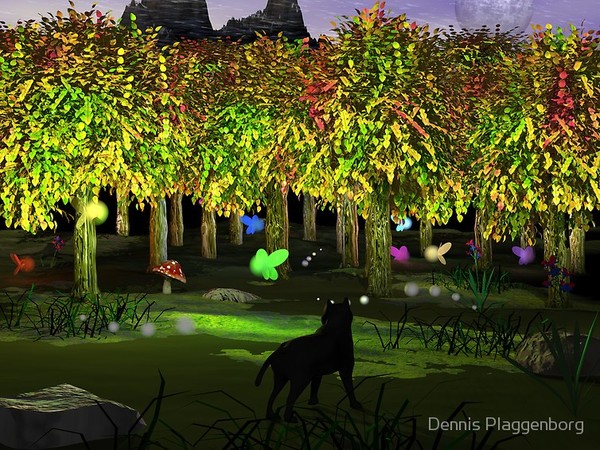 Fairy Forest