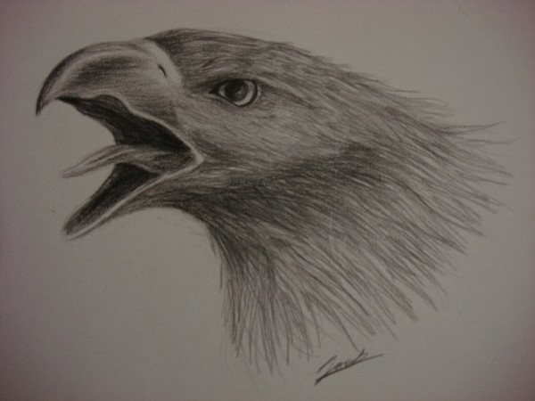 Eagle