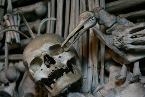 Coat of Arms (detail)