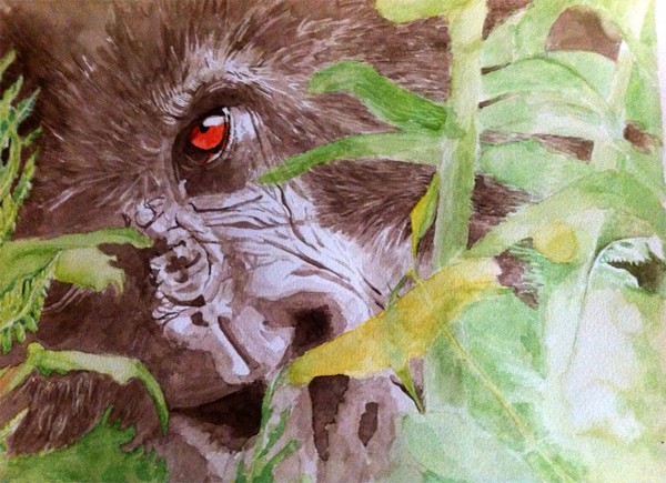 Gorilla