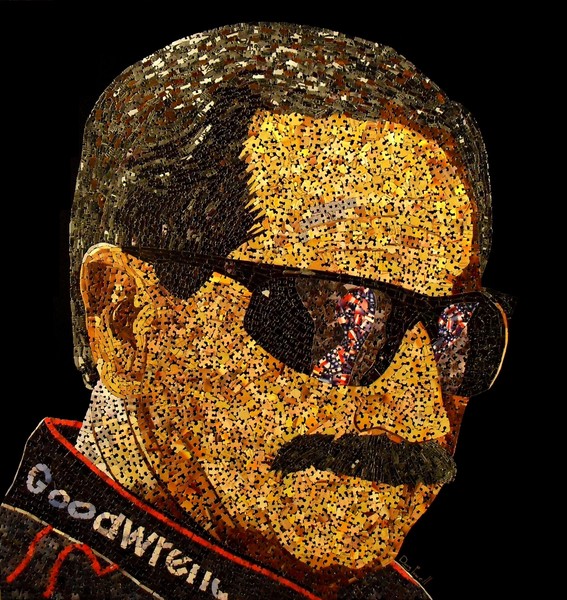 DALE EARNHARDT (2012) SOLD