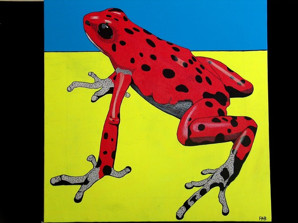 strawberry poison dart frog