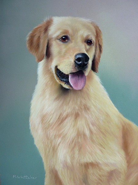 Golden Retriever Painting