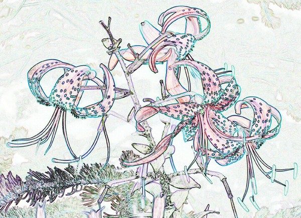 Essence of Nature 1