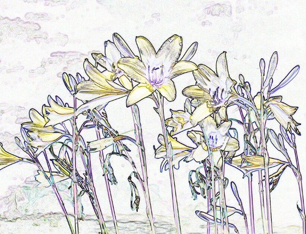 Essence of Nature 2