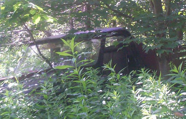 Truck in the woods