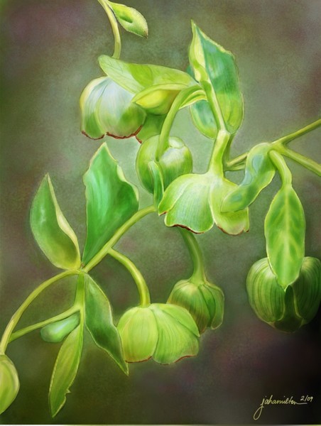 Think Green