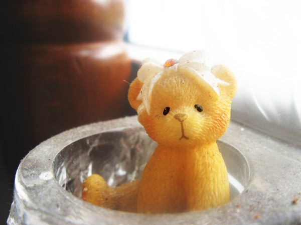 Teddy