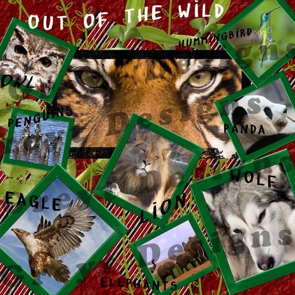 Out Of The Wild, Digital Scrapbook,Art