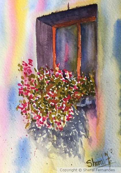 Window box