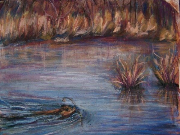 Muskrat